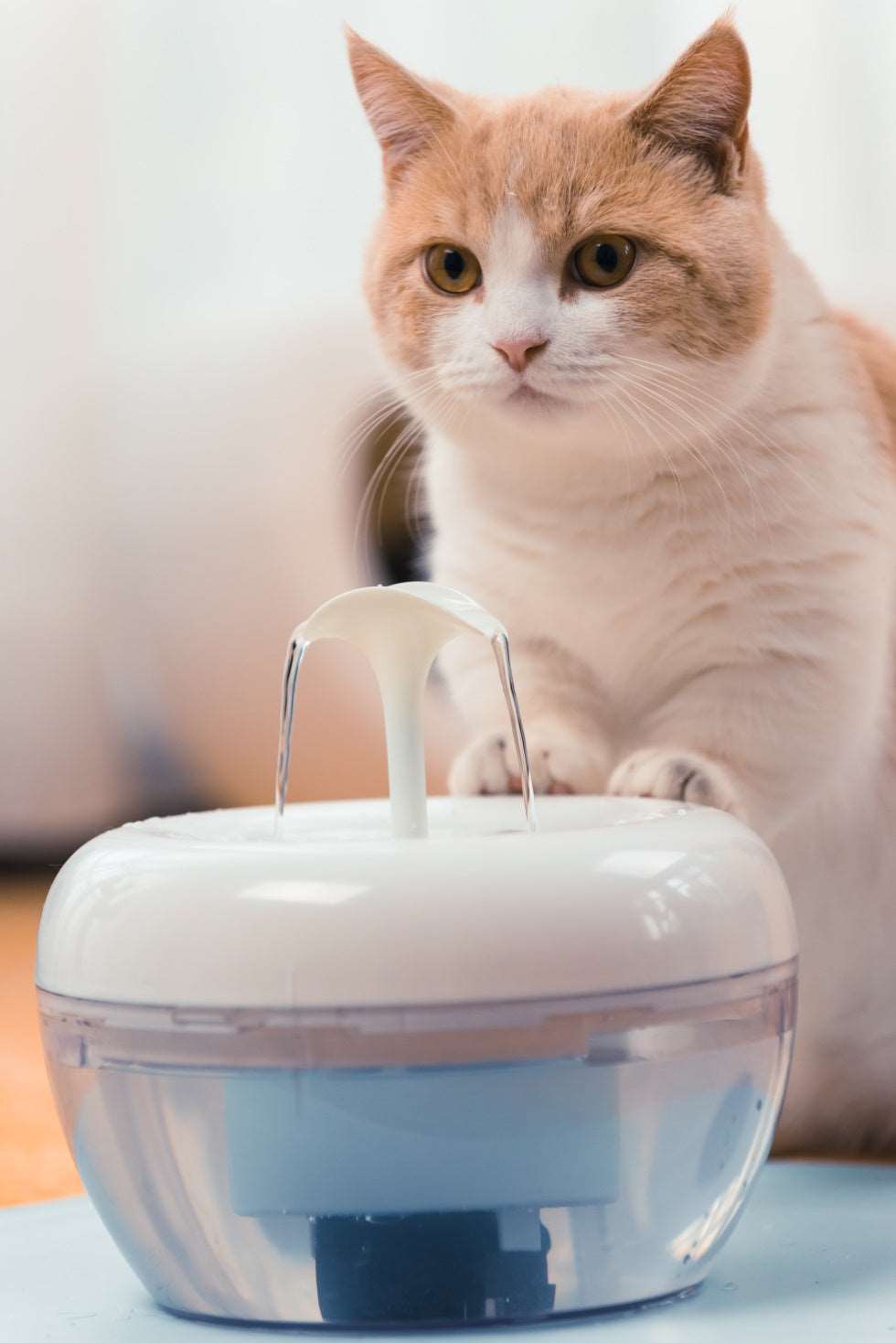 Cat Water Fountain Cat Water Fountain Furvenzy
