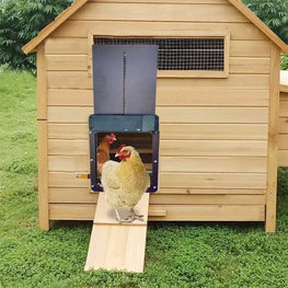 Automatic Chicken Coop Door with Light Sensing Furvenzy