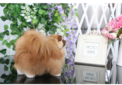 Realistic Pekingese Dog Plush Toy 7