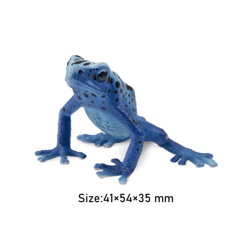 Strawberry Frog Mini Figure – Realistic Animal Model Collectible Toy Blue frog figurine with size dimensions on a white background