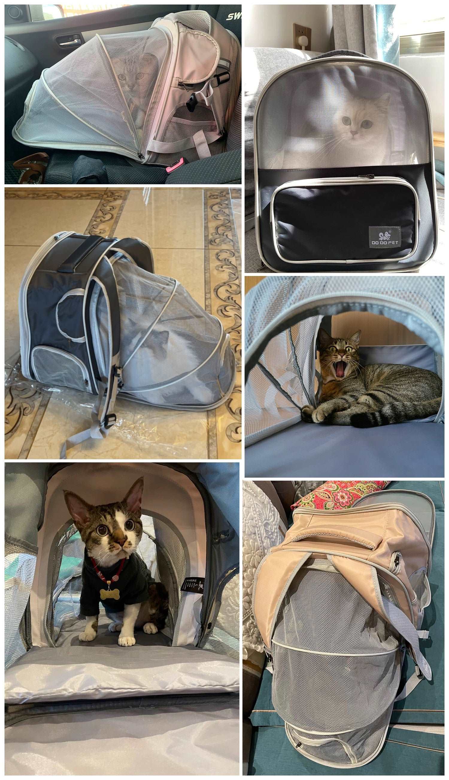 Carrier Mesh Backpack Bag for Small Dog & Cats Carrier Mesh Backpack Bag for Small Dog & Cats Furvenzy
