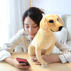 Golden Retriever Simulation Dog Plush Toy 2