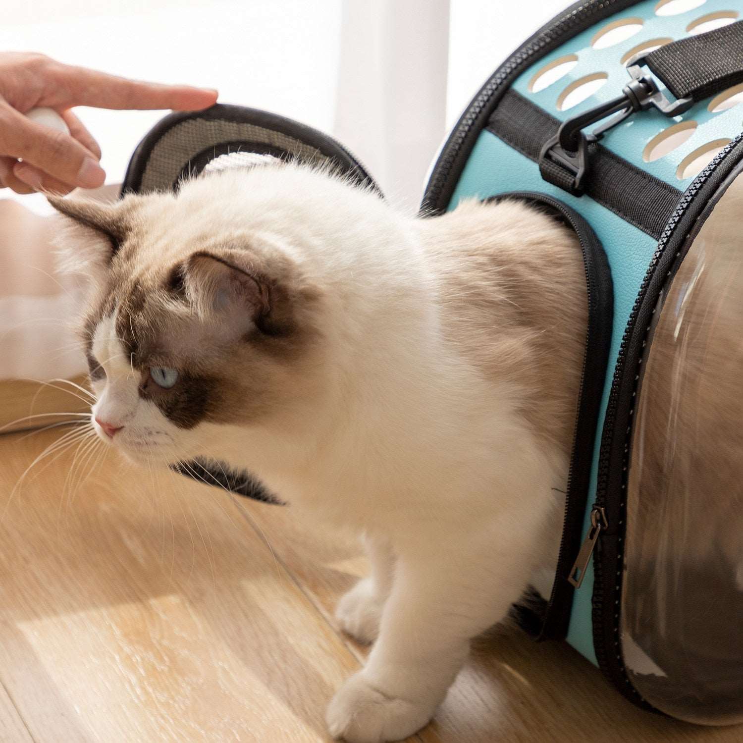 Cat Space Capsule Transparent Carrier Backpack Cat Space Capsule Transparent Carrier Backpack Furvenzy