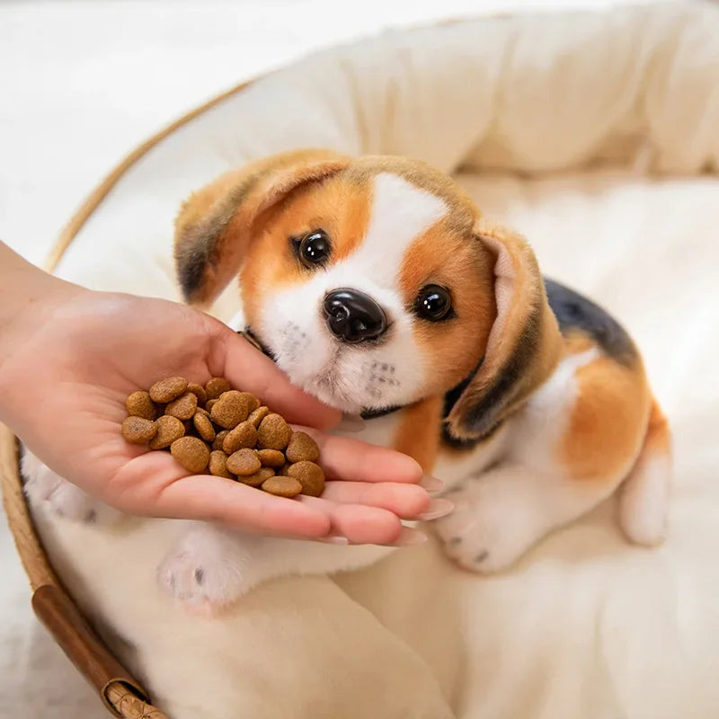 Realistic Dalmatian Beagle Plush Stuffed Toy Dog looking at a hand holding dog food