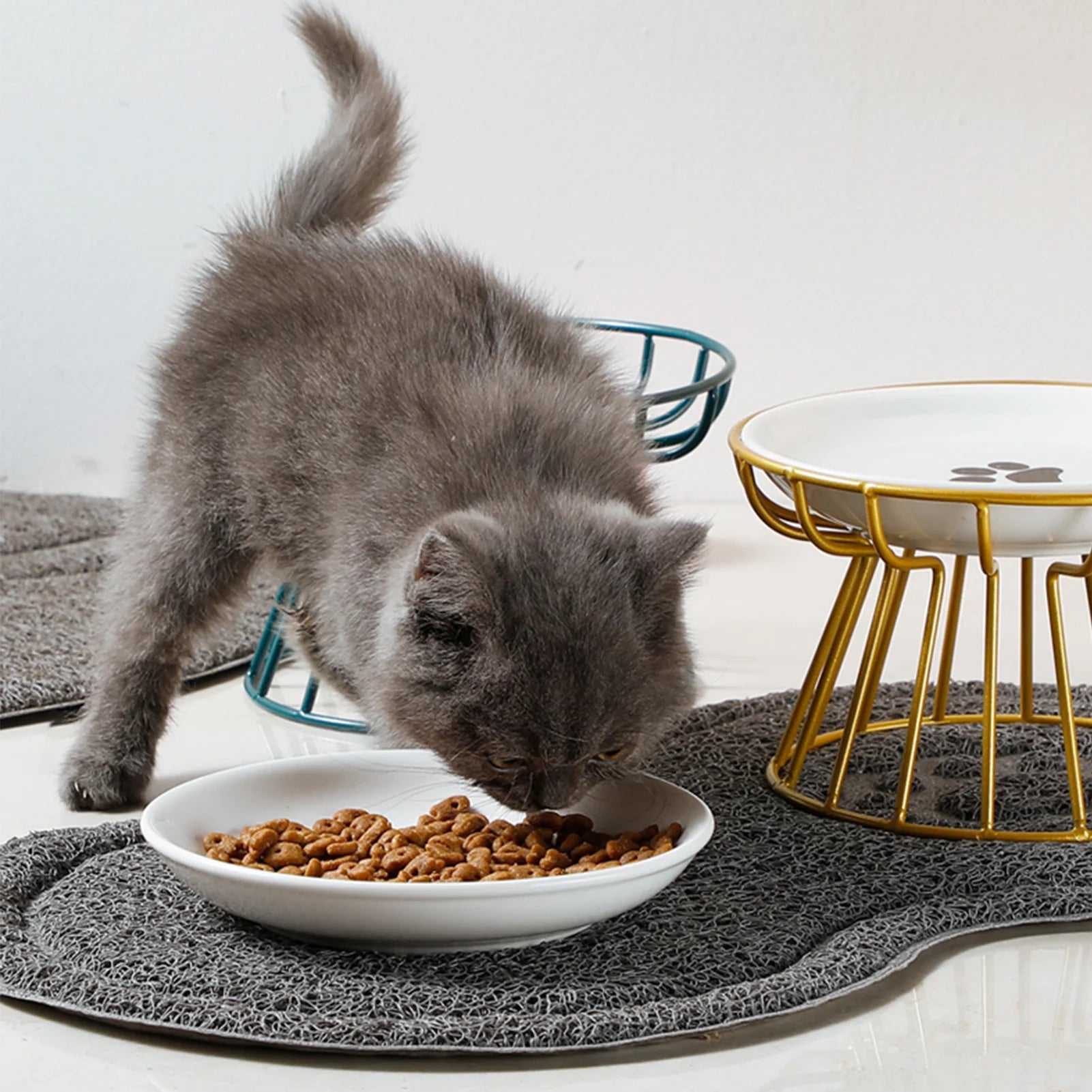 Ceramic Elevated Pet Bowl with Stand Food & Water Gray kitten eating from a white bowl on a gray mat with a gold and white pet accessory in the background.