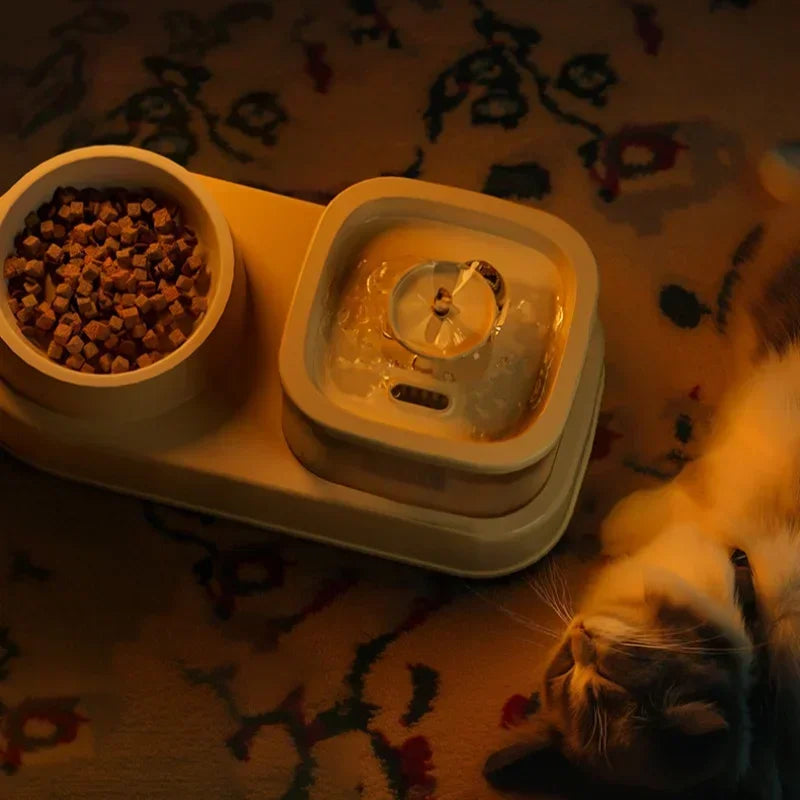 2 in 1 Cat Water Fountain Auto Filter USB Quiet Feeder Cat next to a food and water bowl on a patterned rug