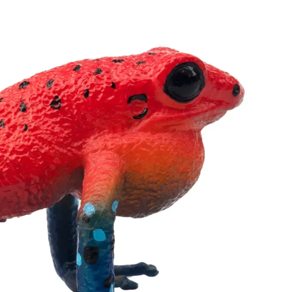 Strawberry Frog Mini Figure – Realistic Animal Model Collectible Toy Red and blue frog figurine on a white background