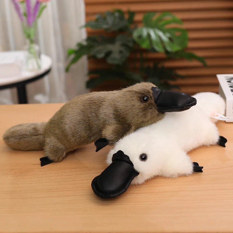 Realistic Platypus Soft Plush Toy Realistic Platypus Soft Plush Toy Furvenzy