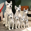 Husky Plush Stuffed Dog Toy 4