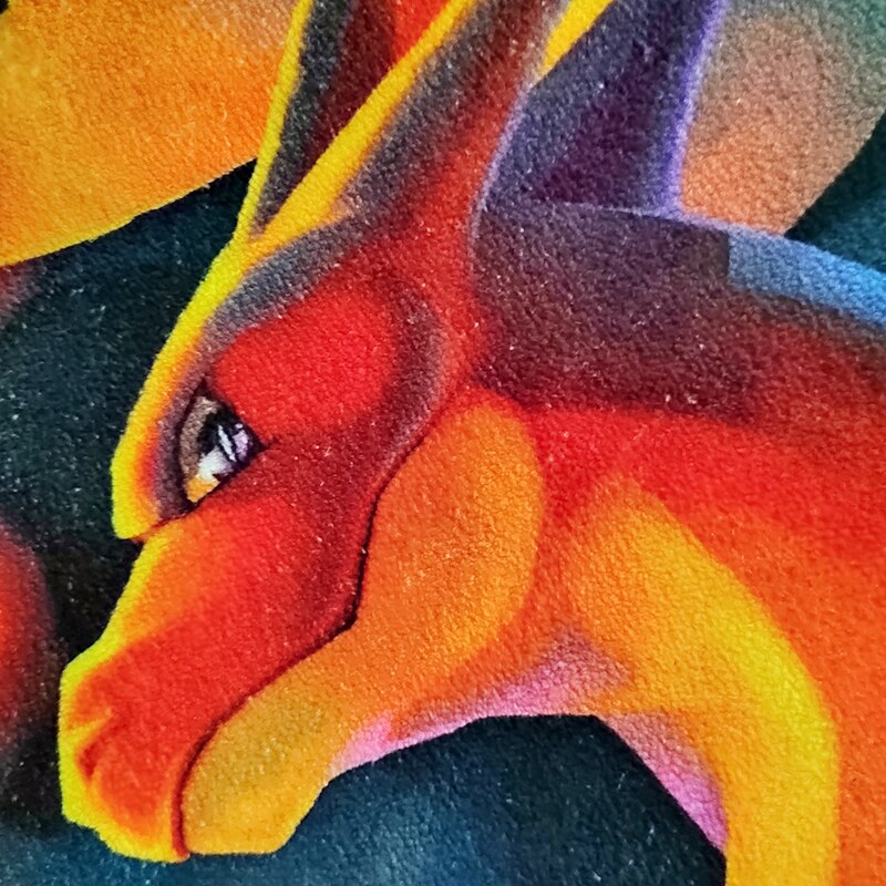 Pokemon Charizard Rug Carpet Pokemon Charizard Rug Carpet Furvenzy