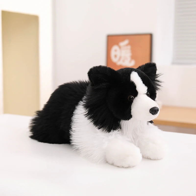 Realistic Border Collie Plush Stuffed Toy Realistic Border Collie Plush Stuffed Toy