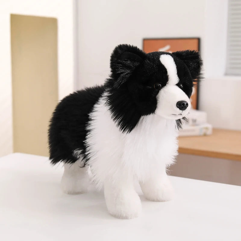Realistic Border Collie Plush Stuffed Toy Realistic Border Collie Plush Stuffed Toy