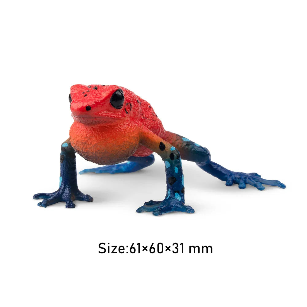 Strawberry Frog Mini Figure – Realistic Animal Model Collectible Toy Colorful frog figurine on a white background with size information.
