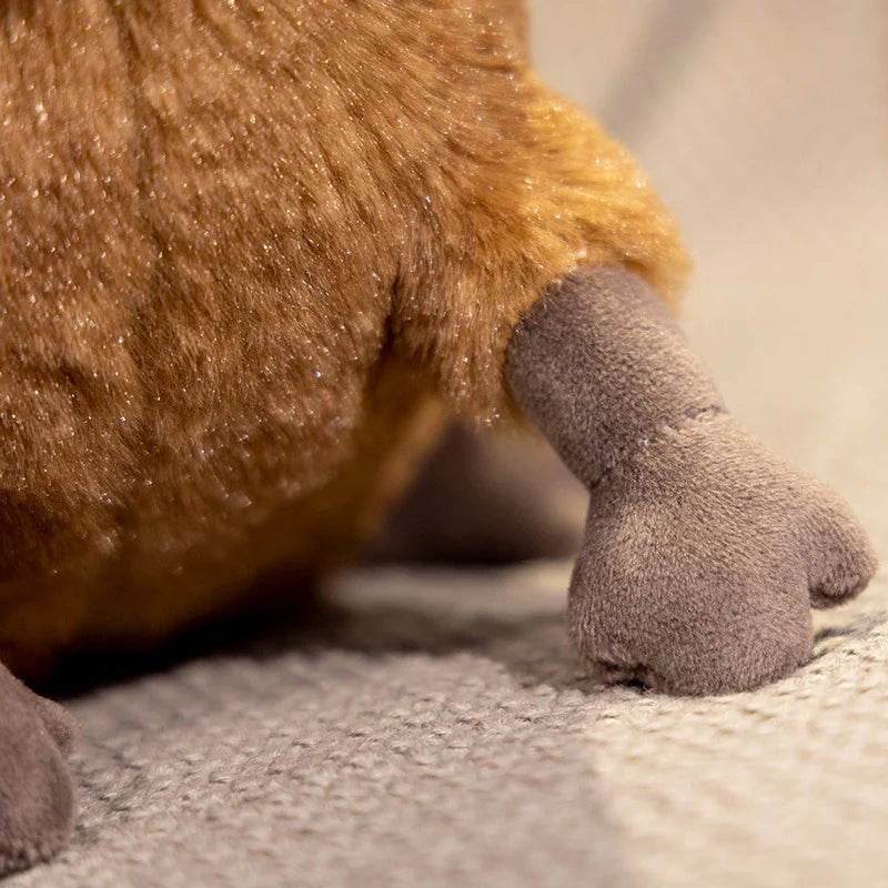 Capybara Squishmallow Plush Toy Capybara Squishmallow Plush Toy Furvenzy