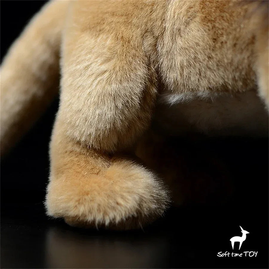 Realistic Lioness Plushie – African Lion Simulation Toy Close-up of a plush toy lion's paw with a dark background