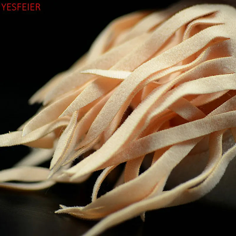 Realistic Nautilus Nautiloidea Fish Plush Toy Realistic Nautilus Nautiloidea Fish Plush Toy Furvenzy