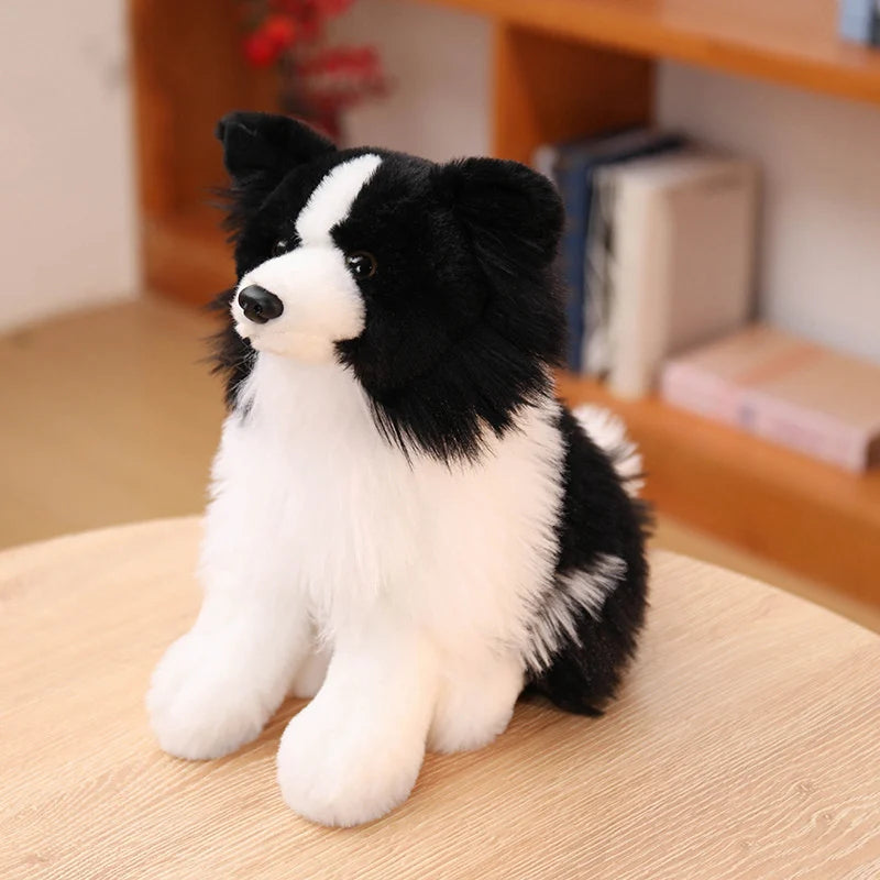 Realistic Border Collie Plush Stuffed Toy Realistic Border Collie Plush Stuffed Toy