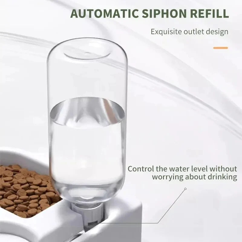 2 in1 Automatic Pet Water Dispenser & Food Bowl for Cats & Dogs Pet food and water bowl on a white background