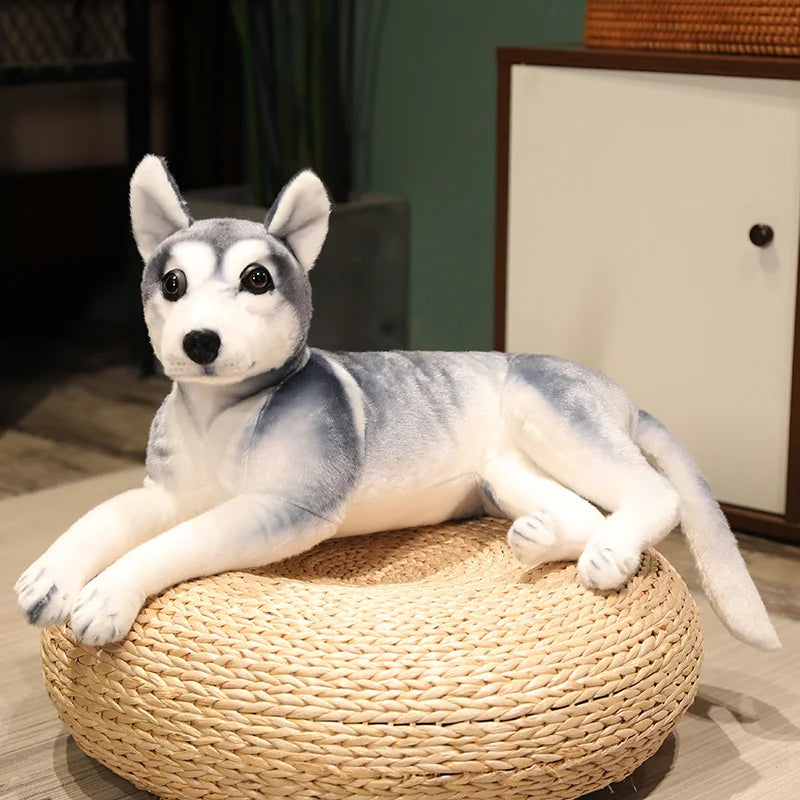 Husky Plush Stuffed Dog Toy Husky Plush Stuffed Dog Toy Furvenzy 57cm Lying