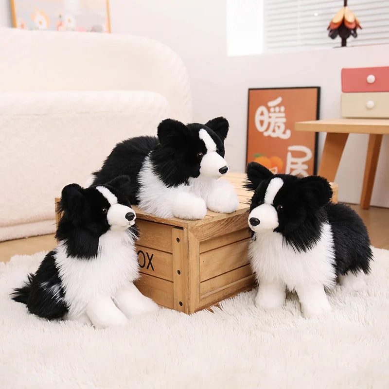 Realistic Border Collie Plush Stuffed Toy Realistic Border Collie Plush Stuffed Toy
