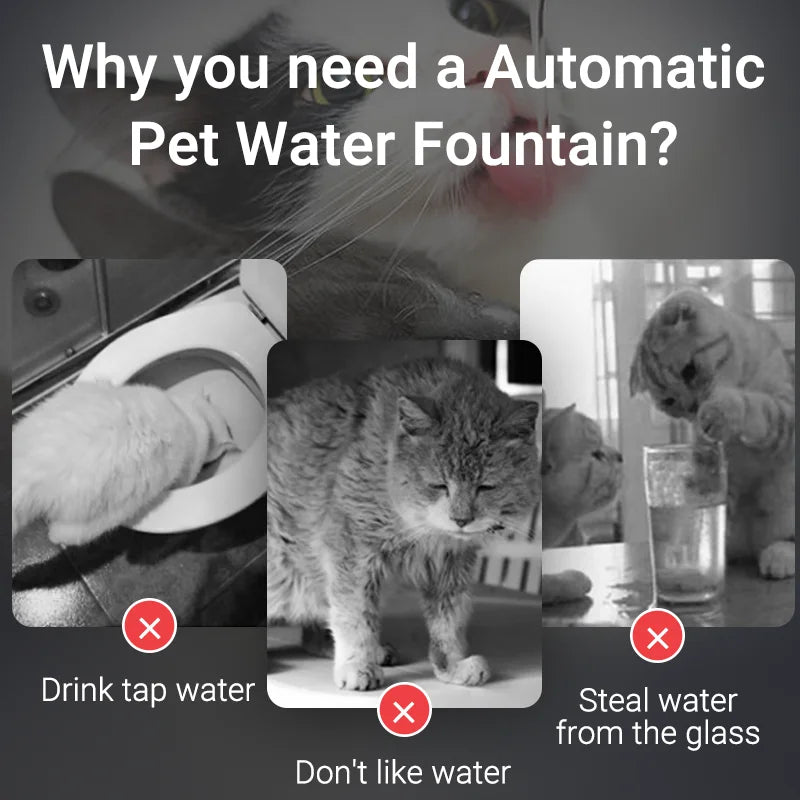 Smart Cat Water Fountain Automatic Filter Pet Dispenser Advertisement for an automatic pet water fountain showing a cat drinking from a fountain and others with text explaining benefits.