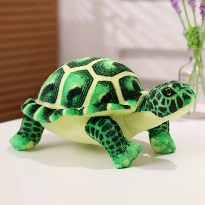 Realistic Tortoise Turtle Stuffed Toy Realistic Tortoise Turtle Stuffed Toy Furvenzy Green