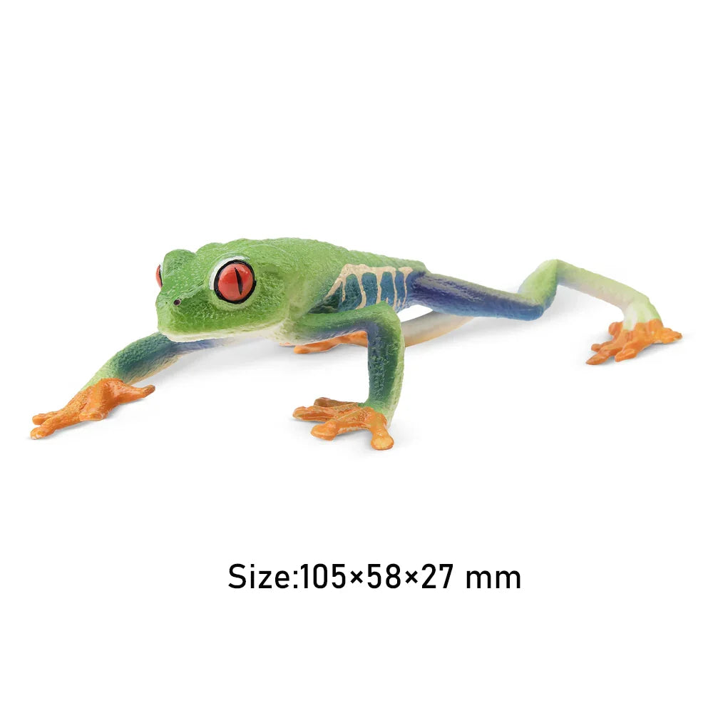 Strawberry Frog Mini Figure – Realistic Animal Model Collectible Toy Model of a green frog with red eyes on a white background