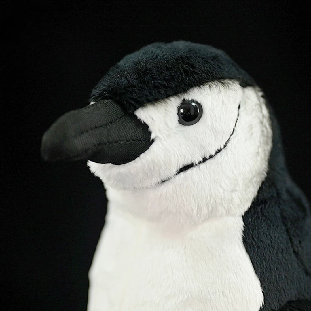 Realistic Penguin Plush Toy - Adélie Penguin Stuffed Animal Plush penguin toy with a black hat on a black background