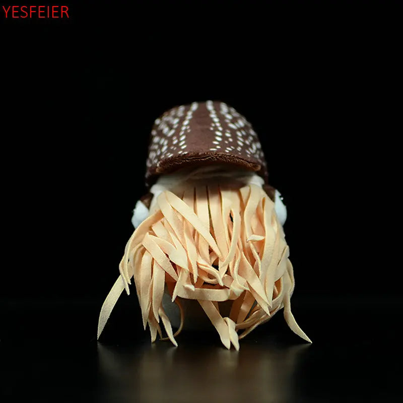 Realistic Nautilus Nautiloidea Fish Plush Toy Realistic Nautilus Nautiloidea Fish Plush Toy Furvenzy