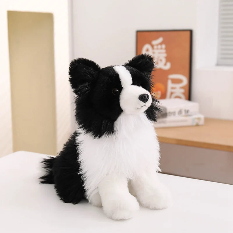 Realistic Border Collie Plush Stuffed Toy Realistic Border Collie Plush Stuffed Toy