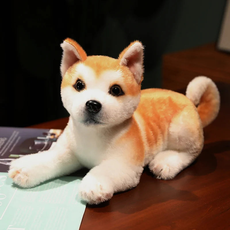 Realistic Akita Dog Plush Stuffed Toy Realistic Akita Dog Plush Stuffed Toy
