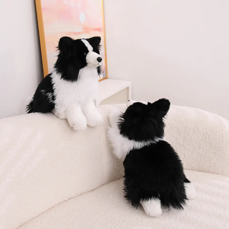 Realistic Border Collie Plush Stuffed Toy Realistic Border Collie Plush Stuffed Toy
