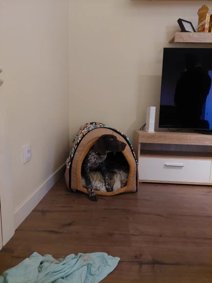 Portable Dog Cat House Bed Portable Dog Cat House Bed Furvenzy