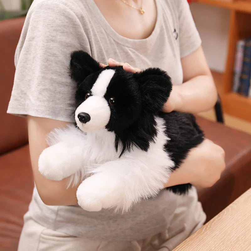 Realistic Border Collie Plush Stuffed Toy Realistic Border Collie Plush Stuffed Toy