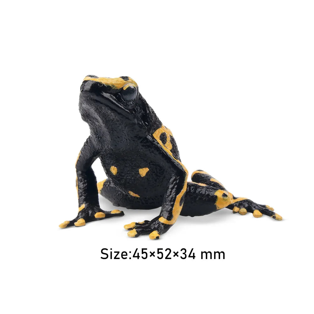Strawberry Frog Mini Figure – Realistic Animal Model Collectible Toy Black and yellow frog figurine with size measurement on a white background