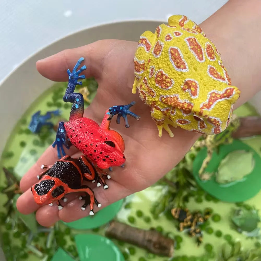 Strawberry Frog Mini Figure – Realistic Animal Model Collectible Toy Hand holding two colorful toy frogs with a green background