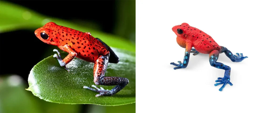 Strawberry Frog Mini Figure – Realistic Animal Model Collectible Toy Two images of a red and blue frog on a leaf and a white background.