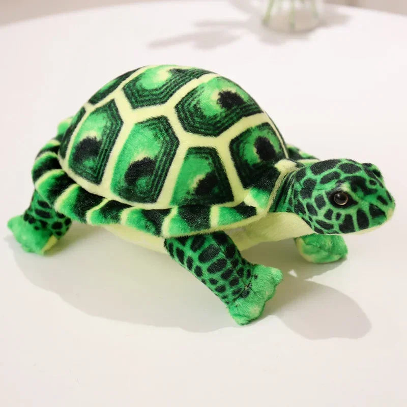 Realistic Tortoise Turtle Stuffed Toy Realistic Tortoise Turtle Stuffed Toy Furvenzy