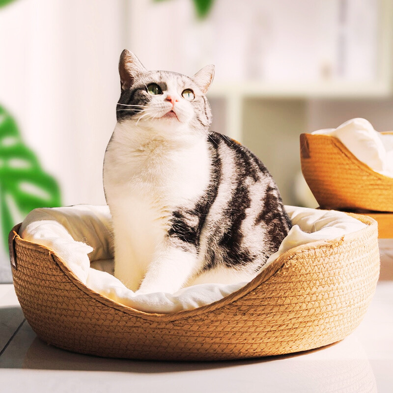 Rattan Leverage Pet Sleeping Bed Rattan Leverage Pet Sleeping Bed Furvenzy