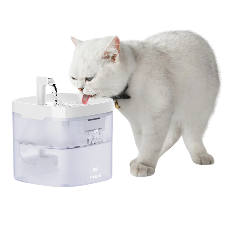 Smart Cat Water Fountain Automatic Filter Pet Dispenser White cat drinking from a pet water fountain on a white background
