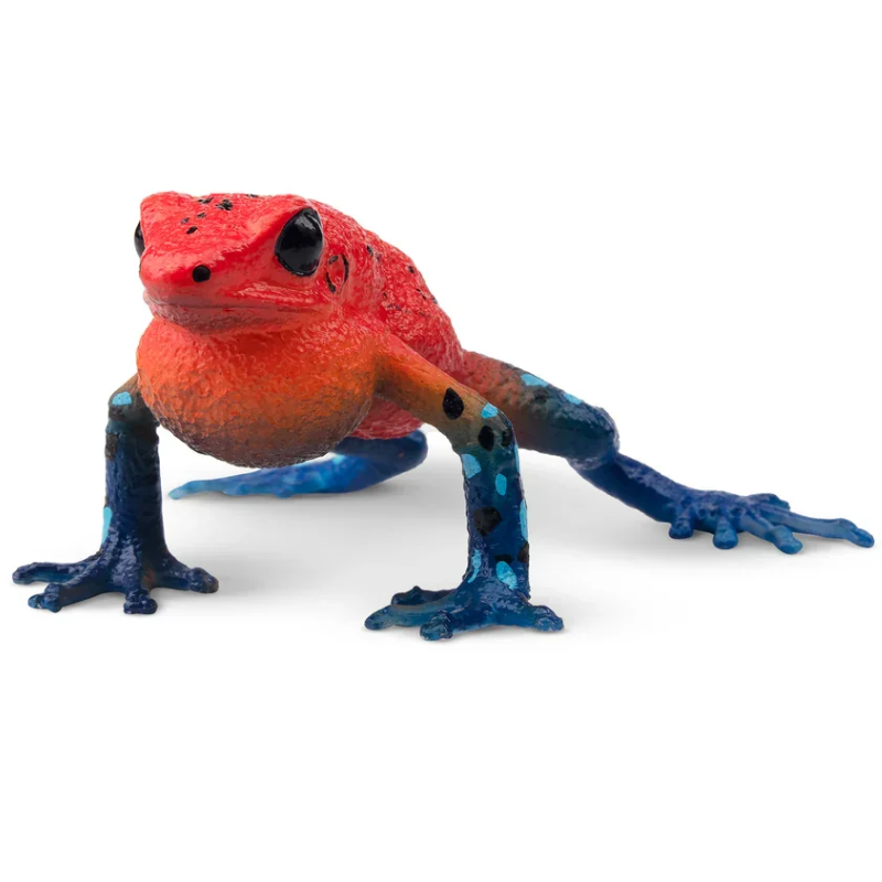 Strawberry Frog Mini Figure – Realistic Animal Model Collectible Toy Colorful frog figurine with red and blue hues on a white background