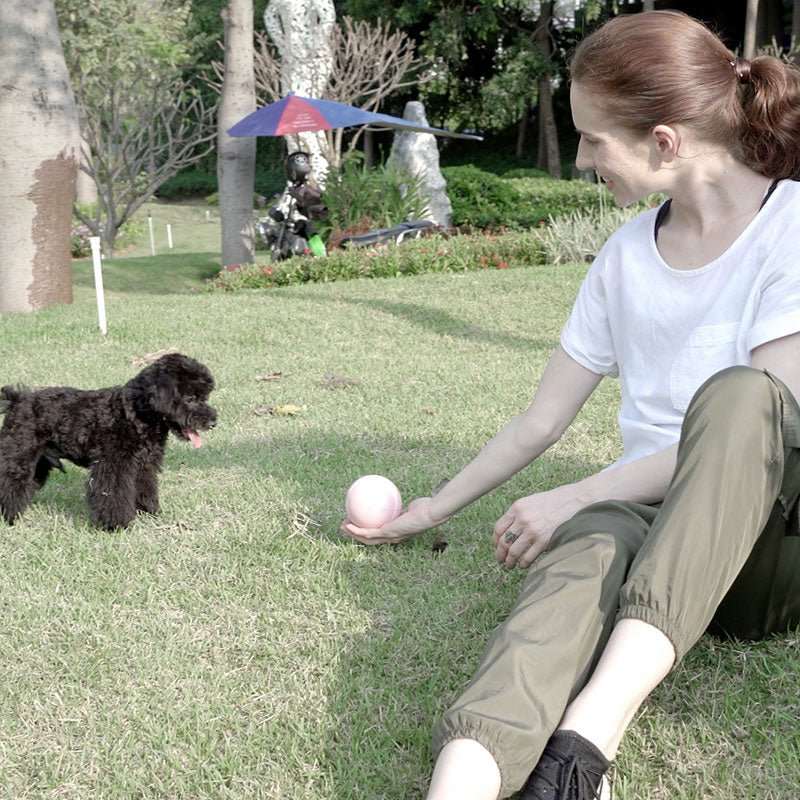 Busy Ball Dog Toy Smart & Interactive Busy Ball Dog Toy Smart & Interactive Furvenzy