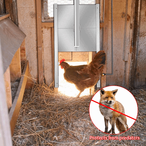 Automatic Chicken Coop Door with Light Sensing Automatic Chicken Coop Door with Light Sensing Furvenzy