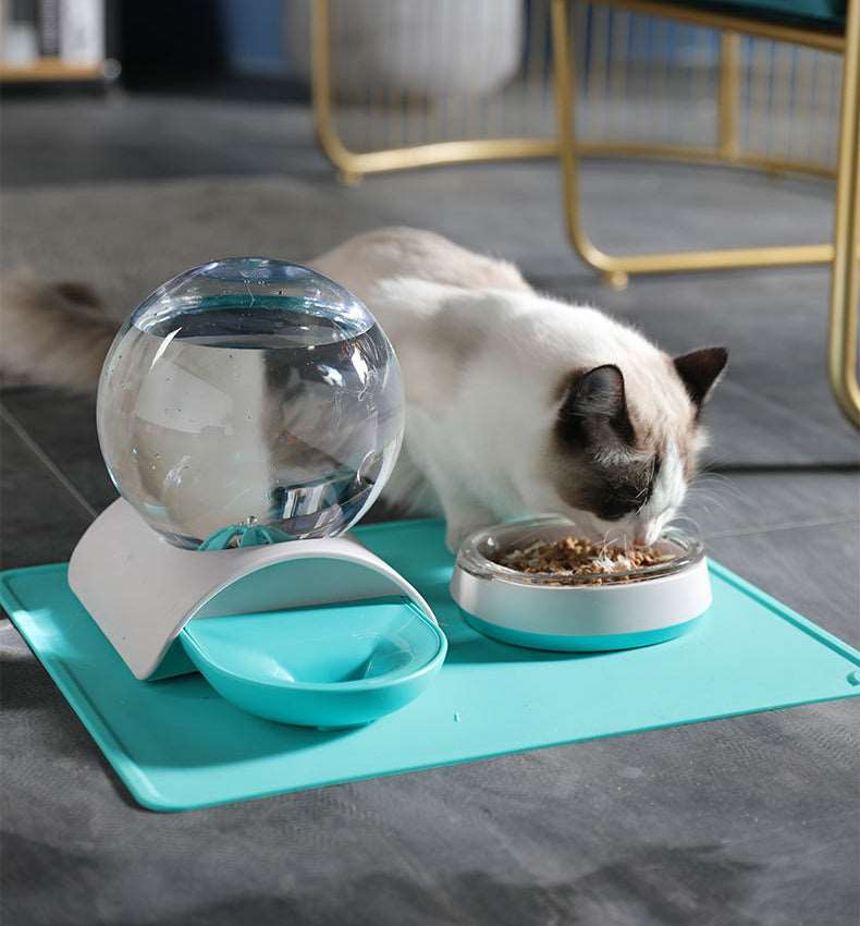 Cat Gravity Waterer Bowl Dispenser Cat Gravity Waterer Bowl Dispenser Furvenzy
