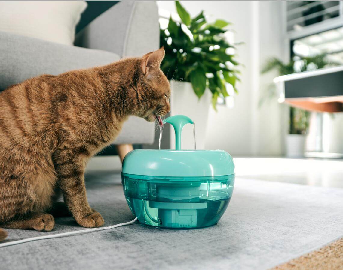 Cat Water Fountain Cat Water Fountain Furvenzy