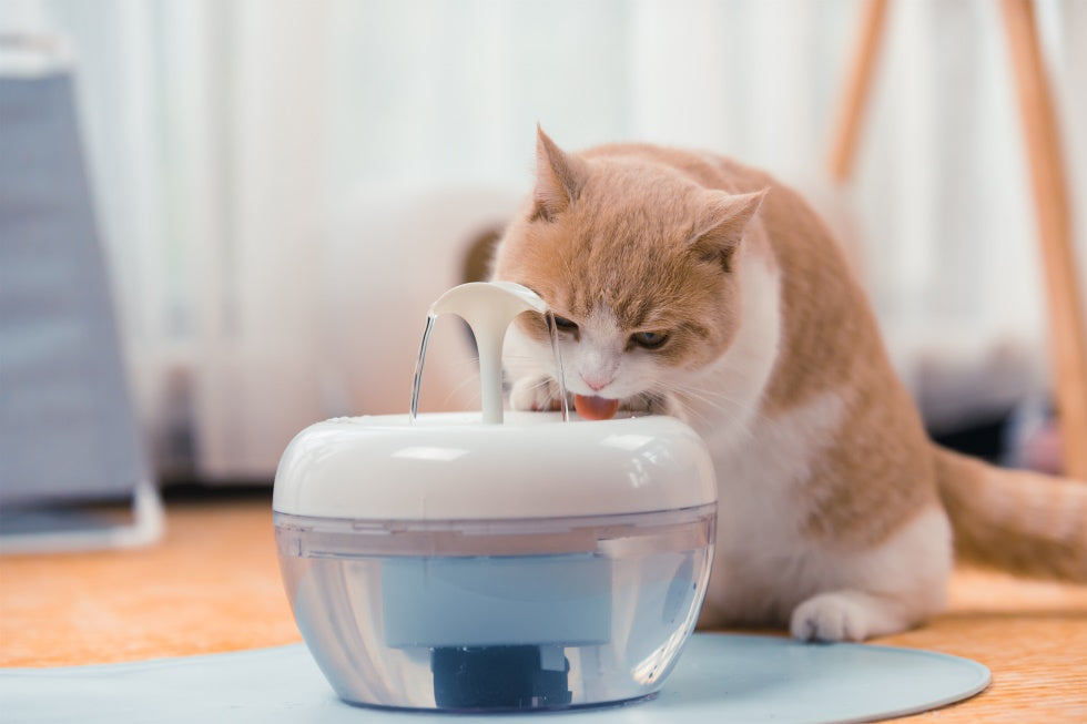 Cat Water Fountain Cat Water Fountain Furvenzy