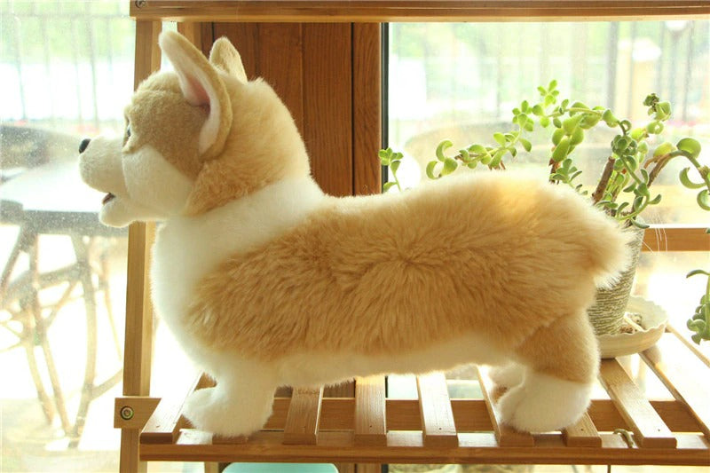 Realistic Animal Plush Stuffed Toy - Corgi / Pomeranian Realistic Animal Plush Stuffed Toy - Corgi / Pomeranian Furvenzy