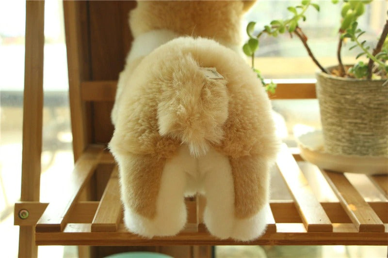 Realistic Animal Plush Stuffed Toy - Corgi / Pomeranian Realistic Animal Plush Stuffed Toy - Corgi / Pomeranian Furvenzy