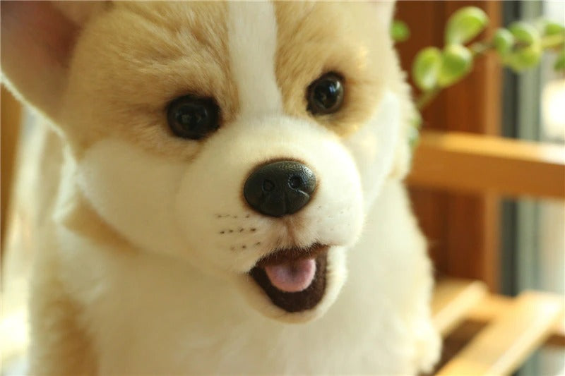 Realistic Animal Plush Stuffed Toy - Corgi / Pomeranian Realistic Animal Plush Stuffed Toy - Corgi / Pomeranian Furvenzy