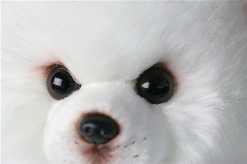 Realistic Animal Plush Stuffed Toy - Corgi / Pomeranian Realistic Animal Plush Stuffed Toy - Corgi / Pomeranian Furvenzy
